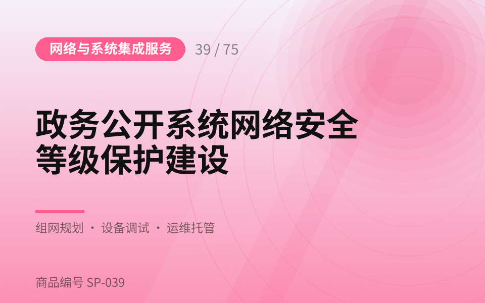 政务公开系统网络安全等级保护建设